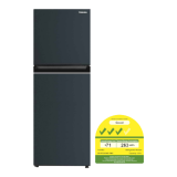 TOSHIBA GR-RT303WE-PMX(52) 2-Door Refrigerator(233L)(Energy Efficiency Class 3)